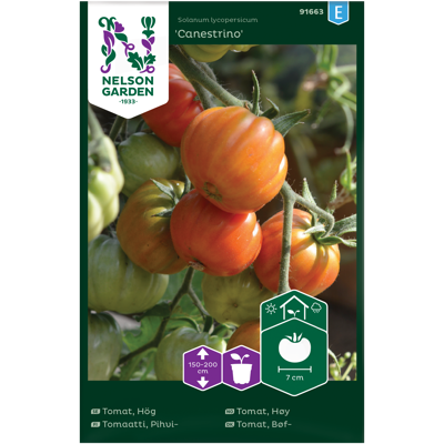 Frø tomat høy Canestrino
