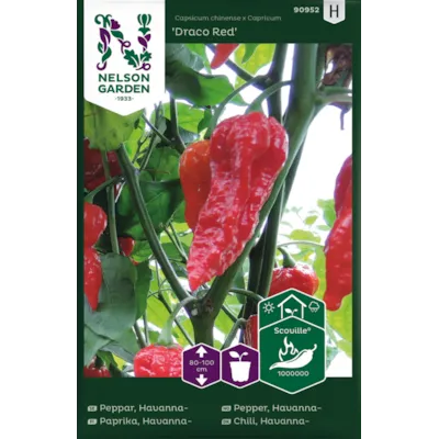 Frø havannapepper Draco Red