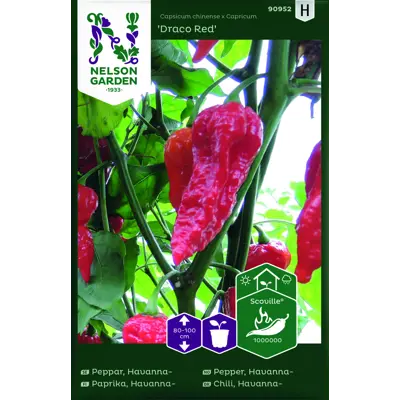 Frø havannapepper Draco Red