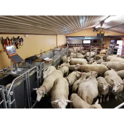 Enveisport for montering på skillevegg, bilde 2