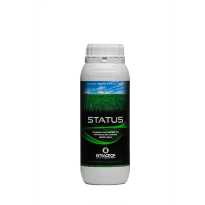 Status 1 L