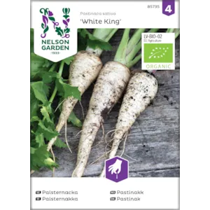 Frø pastinakk White King økologisk