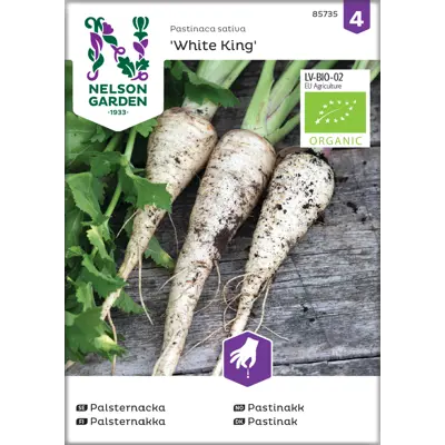 Frø pastinakk White King økologisk