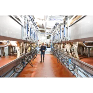 Parallellstaller P2100