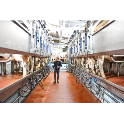 Parallellstaller P2100