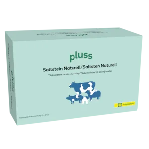 Saltstein Naturell 6x2 kg