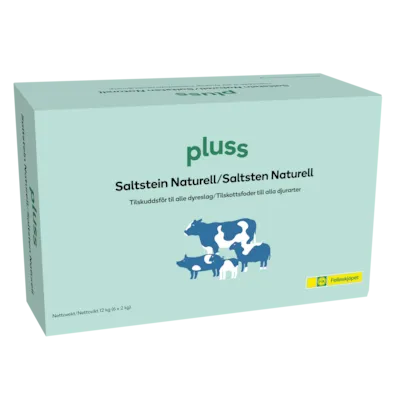 Saltstein Naturell 6x2 kg