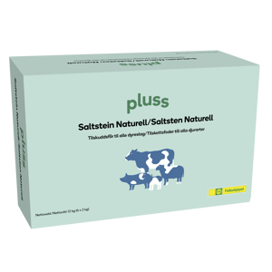 Saltstein Naturell 6x2 kg