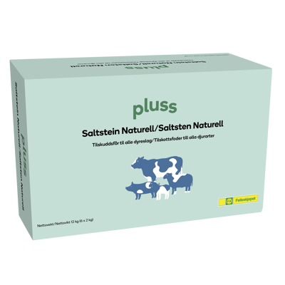 Saltstein Naturell 6x2 kg