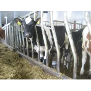 Helsveiset diagonalfront DS-W