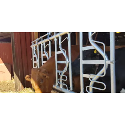 Sikkerhetsfangfront HLS10, bilde 4