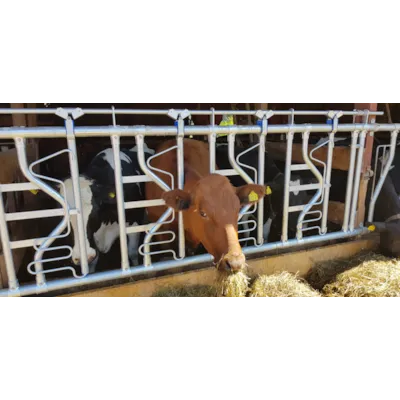 Sikkerhetsfangfront HLS10