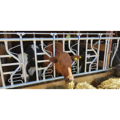 Sikkerhetsfangfront HLS10