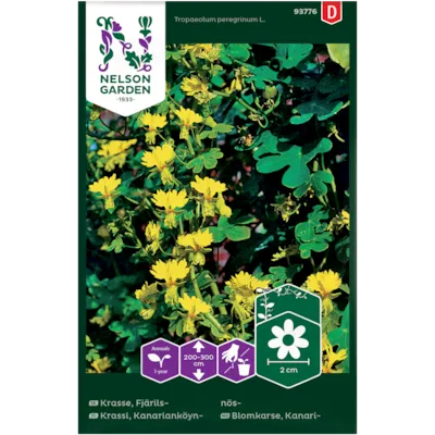 Frø blomkarse Kanari