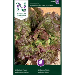 Frø plukksalat Amerkanischer brauner