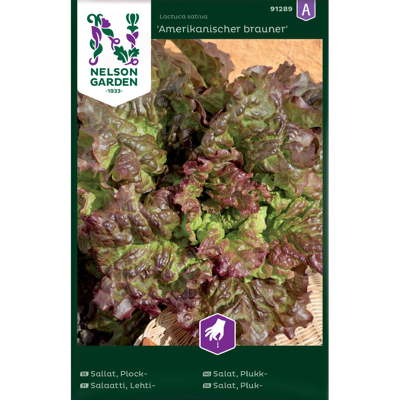 Frø plukksalat Amerkanischer brauner