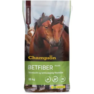 Betfiber 25 kg