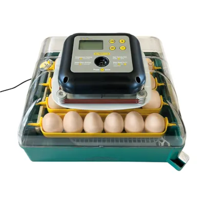 Rugemaskin 24 egg, bilde 2