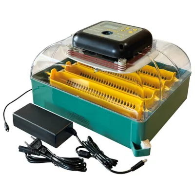 Rugemaskin 24 egg, bilde 3