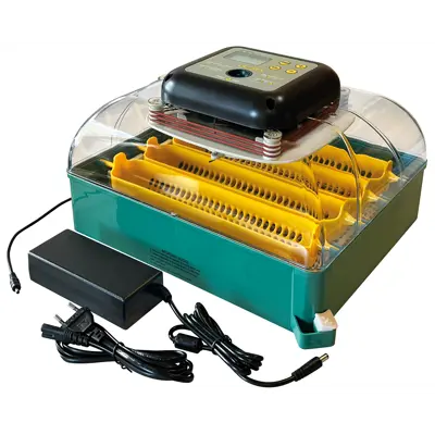 Rugemaskin 24 egg, bilde 3