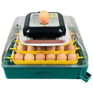 Rugemaskin 24 egg