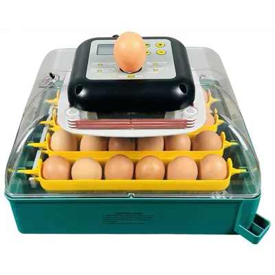 Rugemaskin 24 egg