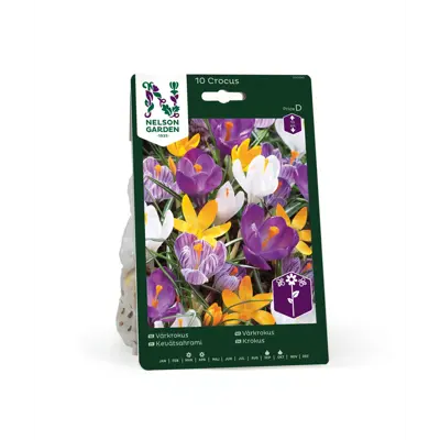 Høstløk vårkrokus