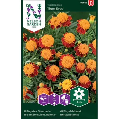 Frø fløyelsblomst Tiger Eyes