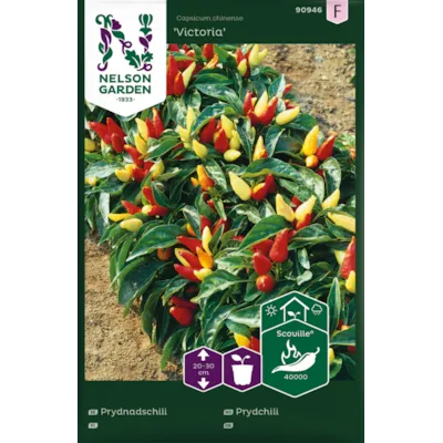 Frø prydchili Victoria