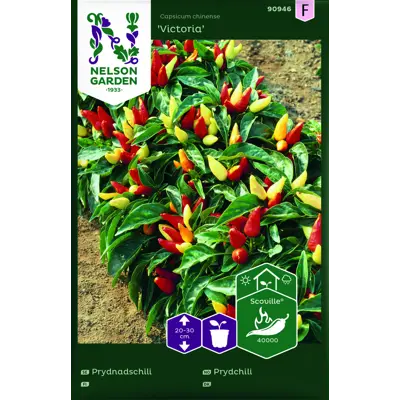 Frø prydchili Victoria