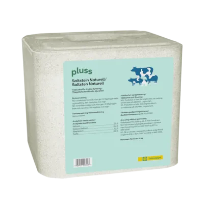 Saltstein Naturell 10 kg