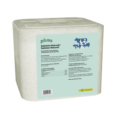 Saltstein Naturell 10 kg