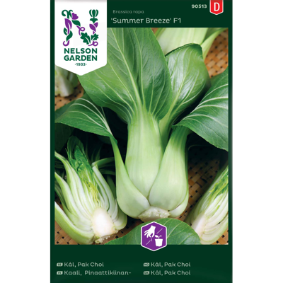 Frø Pak Choi kål Summer Breeze