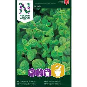 Frø oregano Greek