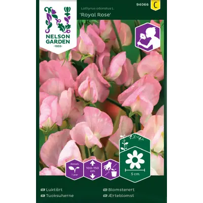 Frø blomsterert Royal Rose