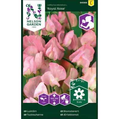 Frø blomsterert Royal Rose