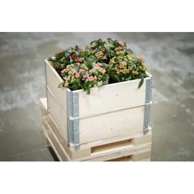 Pallekarm natur, bilde 4