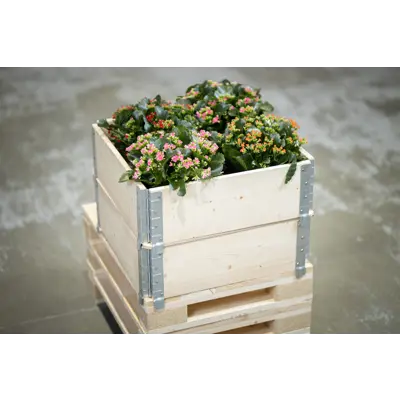 Pallekarm natur, bilde 4