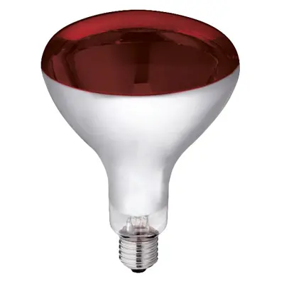 Varmepære EF 250W