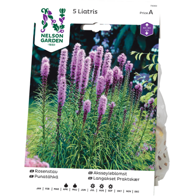 Vårløk akssøyleblomst