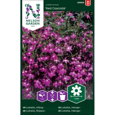 Frø hengelobelia Red Cascade