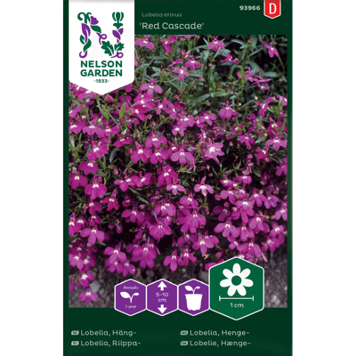 Frø hengelobelia Red Cascade
