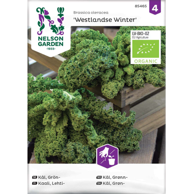 Frø grønnkål Westlandse Winter økologisk