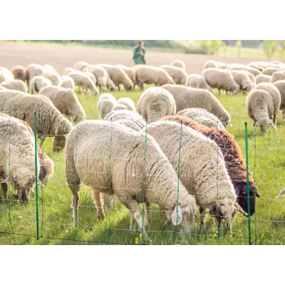 Topline plus elektrisk nettinggjerde 3 stk
