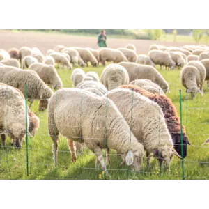 Topline plus elektrisk nettinggjerde 3 stk