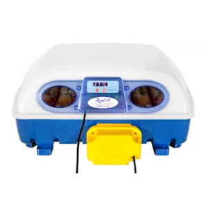 Rugemaskin Real-49 helautomatisk