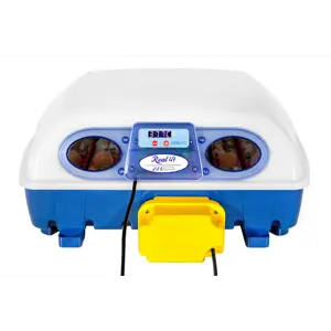 Rugemaskin Real-49 helautomatisk