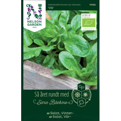 Frø vintersalat Vit økologisk