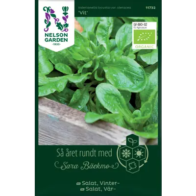 Frø vintersalat Vit økologisk