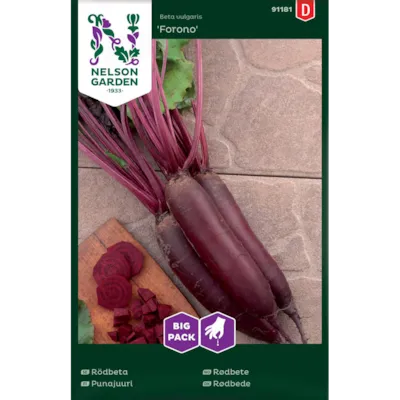 Frø rødbete Forono Big Pack